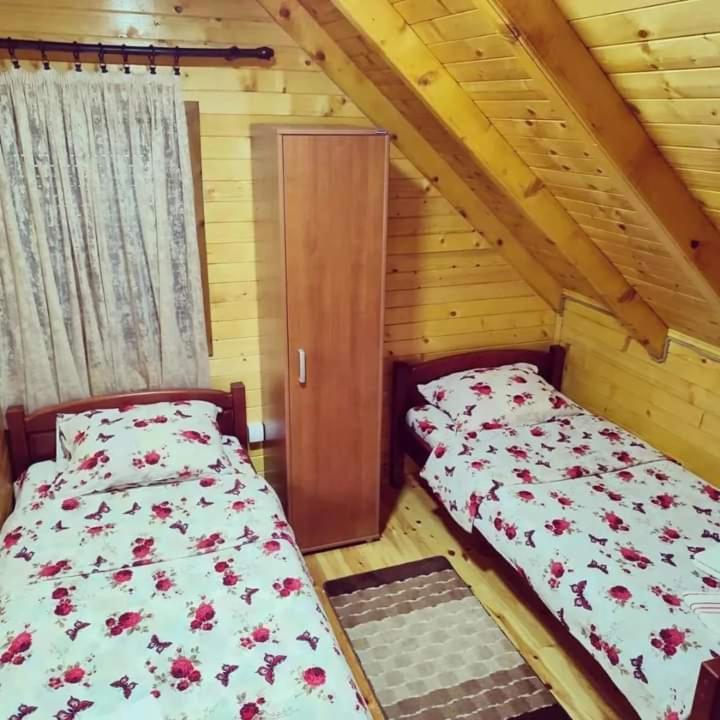 Žabljak Mountain House Catherineヴィラ エクステリア 写真